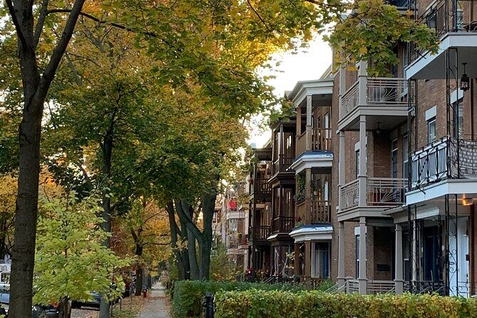 Montcalm & St. Jean Baptiste districts walking tour (2,5h) - Who should consider this tour?