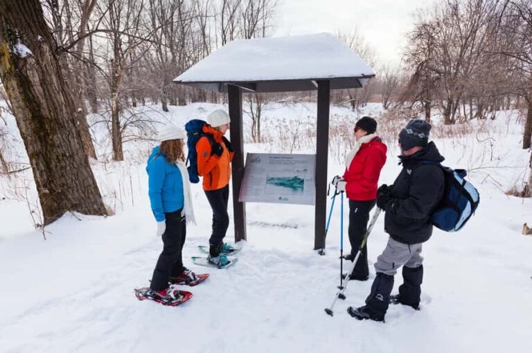 Montreal: Îles-de-Boucherville Entry Ticket and Snowshoeing - Practicalities: What to Know Before You Go