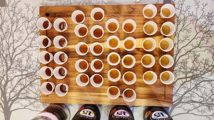 Montreal: Maple syrup tasting and conference. In english! - Authenticity and Unique Value