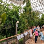 Moody Gardens General Admission - Aquarium & Rainforest - An Honest Look at Moody Gardens: What You’ll Experience