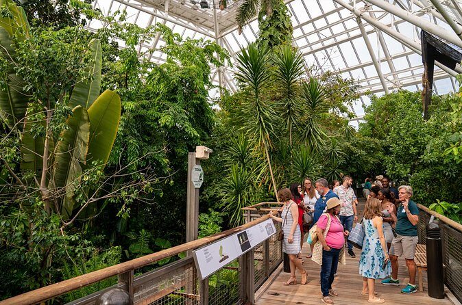 Moody Gardens General Admission - Aquarium & Rainforest - An Honest Look at Moody Gardens: What You’ll Experience