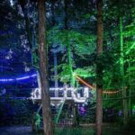 MoonTrek Nighttime Aerial Adventure - Why We Love This Experience