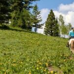 Moose Meadow Breakfast Ride - Frequently Asked Questions