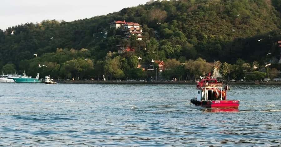 Morro Bay: Pontoon Boat Rental with Wildlife Watching - Why a Pontoon Boat in Morro Bay Makes Sense