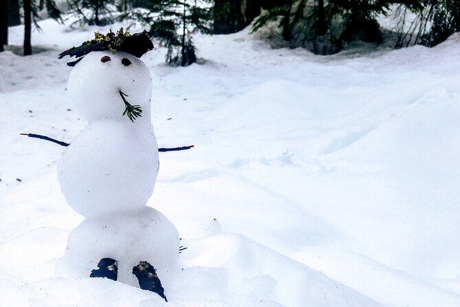 Mountain Snowshoeing & Photography - Why This Tour Stands Out