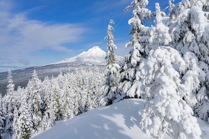 Mt. Hood Winter Wonderland Snowshoe Adventure - Who Will Love This Tour?