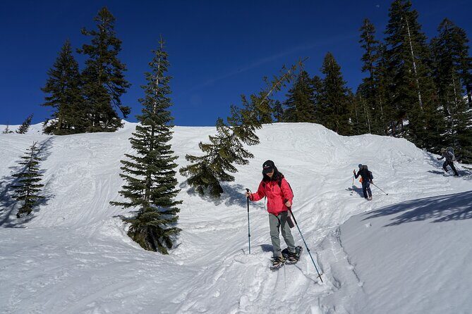 Mt. Shasta Snowshoeing Tours - The Sum Up