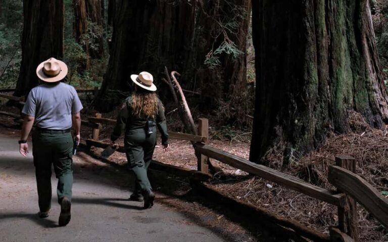 Muir Woods Visit & Golden Gate Bridge Bike Ride - Exploring the Itinerary: What You Can Expect from This Full Day