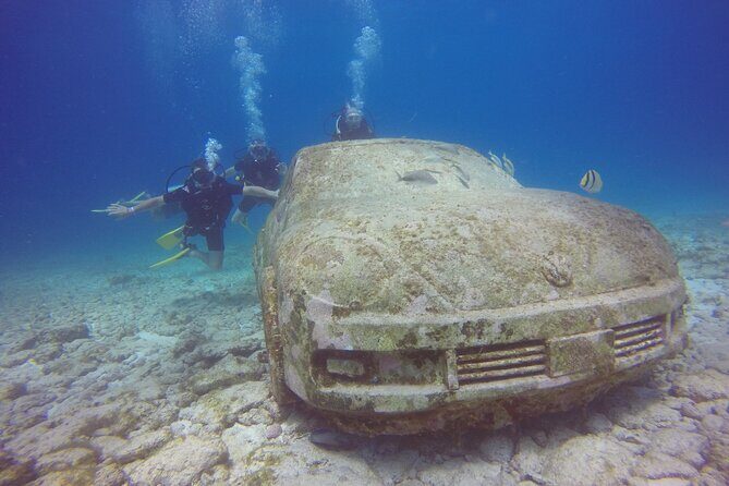 MUSA Diving For Beginners in Cancun - A Closer Look at the Experience