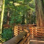 Nanaimo: Cathedral Grove, Waterfalls and Animal Sanctuary - Exploring Vancouver Island’s Hidden Gems