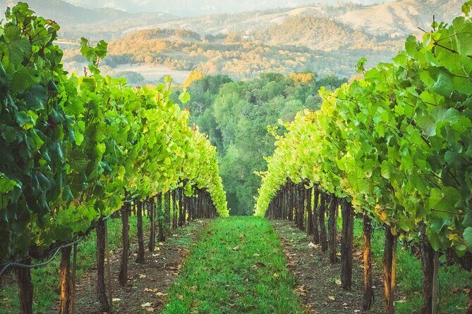 Napa Valley Boutique Wine Tour 6 Hour Private SUV Good for 4 Pax - Who Should Book This Tour?