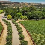 Napa Valley: Scenic E-Bike Tour (No Wineries) - Frequently Asked Questions