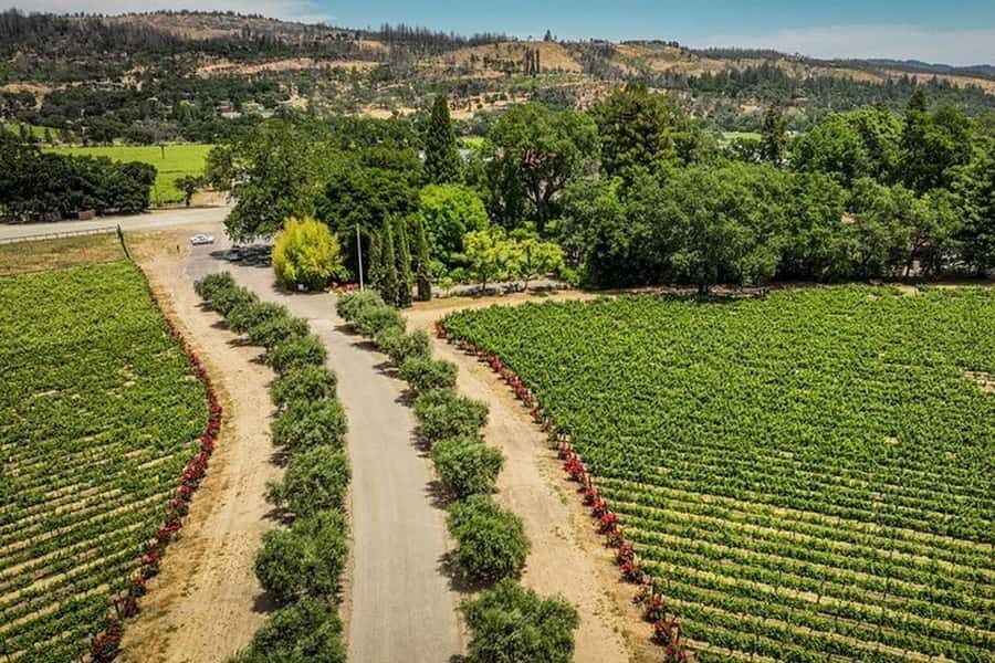 Napa Valley: Scenic E-Bike Tour (No Wineries) - Frequently Asked Questions