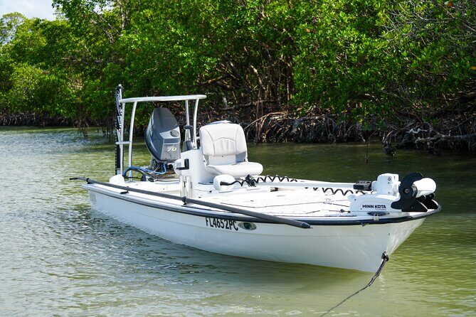 Naples Half-Day Fly Fishing Activity - Who Will Love This Experience?