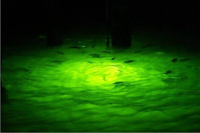 Naples Night Fishing Trips - A Closer Look at Naples Night Fishing Trips