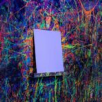 Neon Paint, Backlight-lit, Splatter Room Experience XL - What Makes It Special