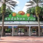 New Orleans: Audubon Zoo or Combo Ticket - A Detailed Look at Your Visit to Audubon Zoo