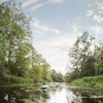 New Orleans Bayou Adventure: Kayak Rental - The Sum Up: Who Should Consider This Experience?