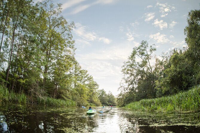 New Orleans Bayou Adventure: Kayak Rental - The Sum Up: Who Should Consider This Experience?