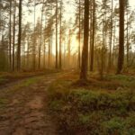 New River Gorge: Paintball Experience with Gear - The Sum Up — Is This Experience Right for You?