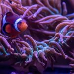 New York Aquarium Entry Ticket - Authentic Experiences and Visitor Perspectives