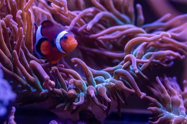 New York Aquarium Entry Ticket - Authentic Experiences and Visitor Perspectives