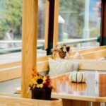 New York City: Afternoon Fall Foliage Lunch Cruise - Detailed Review of the Fall Foliage Lunch Cruise