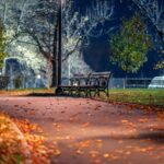 New York City: Queens Private Tour - Detailed Review of the Queens Private Tour