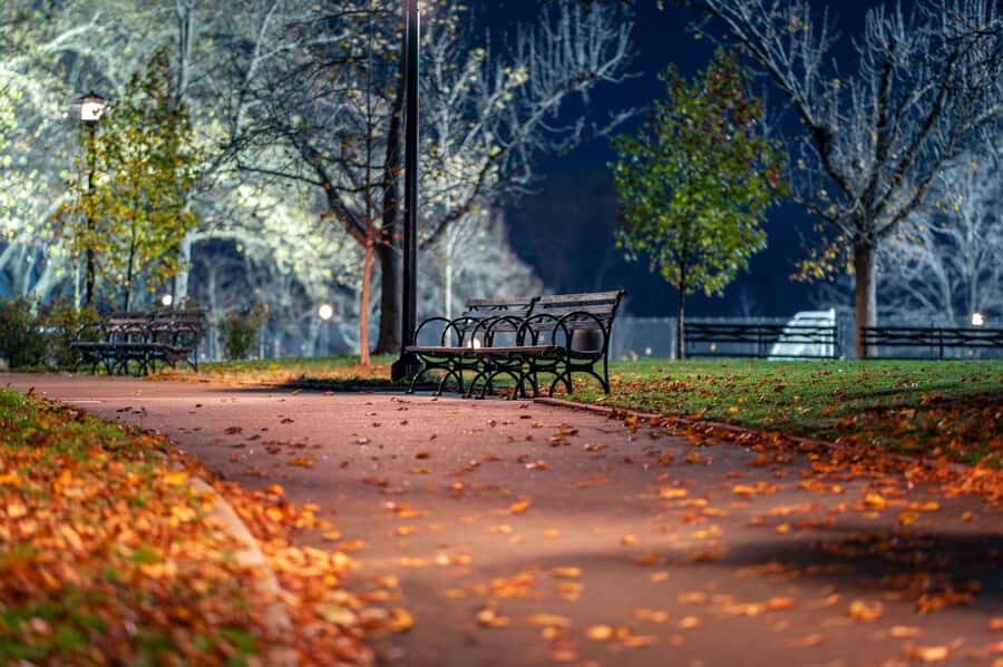 New York City: Queens Private Tour - Detailed Review of the Queens Private Tour