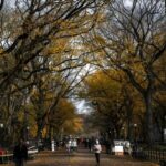 New York: Manhattan Highlights - Central Park & Rich areas - Exploring Central Park West & Lincoln Center
