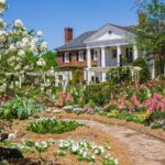 New York to Charleston 5-Day Tour - Practical Details and What It Means for You