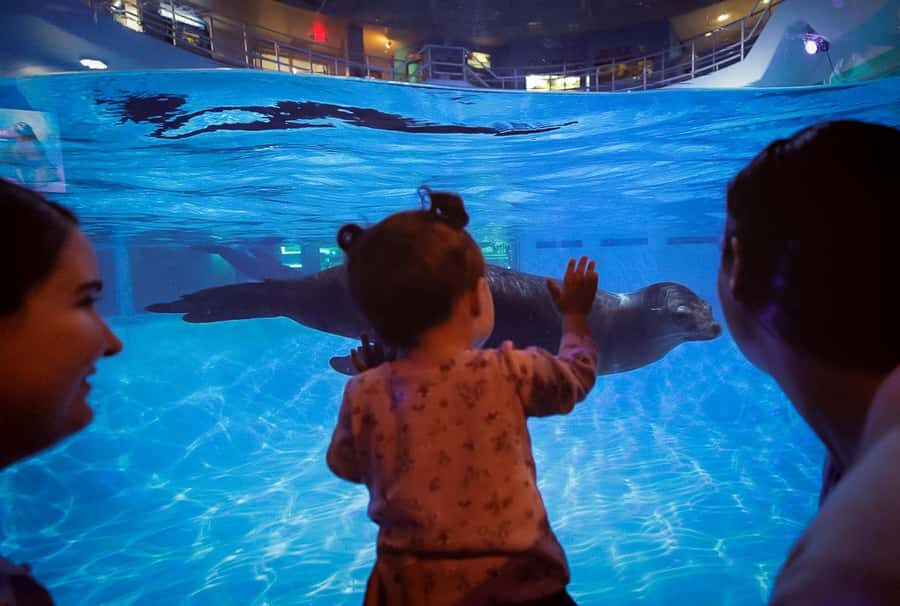 Niagara: Aquarium of Niagara General Admission - Exploring the Aquarium of Niagara: What to Expect