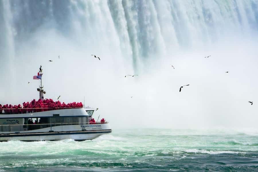Niagara: Boat Tour, Lunch & Maple Syrup Tasting - Authentic Insights from Reviews