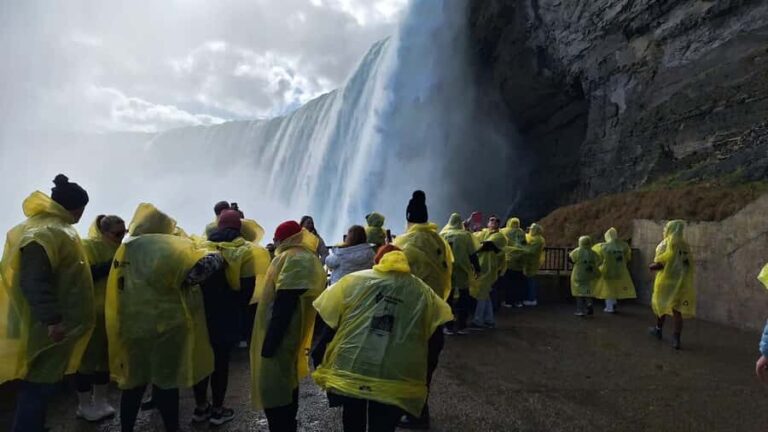Niagara Falls: Beyond the Falls Walking Tour & Cruise - What Makes This Tour Stand Out?