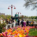 Niagara Falls Cruise and Scenic Walking Tour - Who Is This Tour Best Suited For?