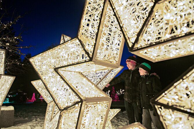 Niagara Falls Festival of Lights Tour from Toronto - Authentic Experiences and What You Should Know