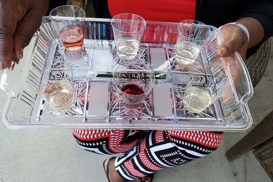 Niagara Falls: USA Small-Group Boutique Wine Tour - FAQ