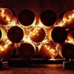 NON BUS Birthday Old Mission Peninsula Wine Tour - Who Should Consider This Tour?