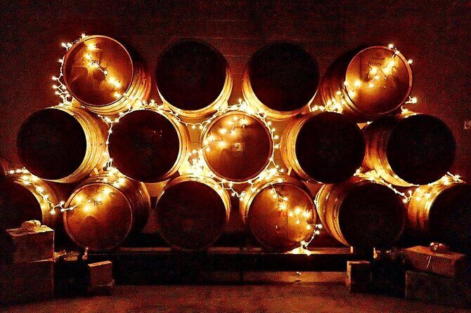 NON BUS Birthday Old Mission Peninsula Wine Tour - Who Should Consider This Tour?