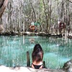 North Coast Adventure Isla Columpio Puerto Progreso and Chuburná - Who Is This Tour Best For?