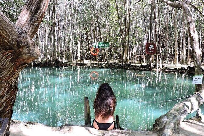 North Coast Adventure Isla Columpio Puerto Progreso and Chuburná - Who Is This Tour Best For?