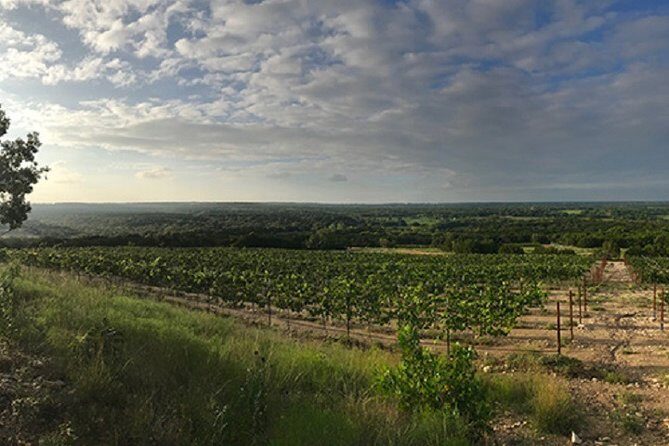 North Texas Wineries & Vineyards Tour & Tastings - A Detailed Look at the North Texas Wineries & Vineyards Tour & Tastings