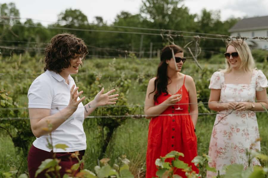 Nova Scotia: Private Wine Tasting & Lobster Lunch Tour - What Makes This Tour Stand Out?