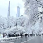 NYC: Central Park Guided Bike Tour with Movie Locations - A Deep Dive into the Central Park Bike Tour Experience
