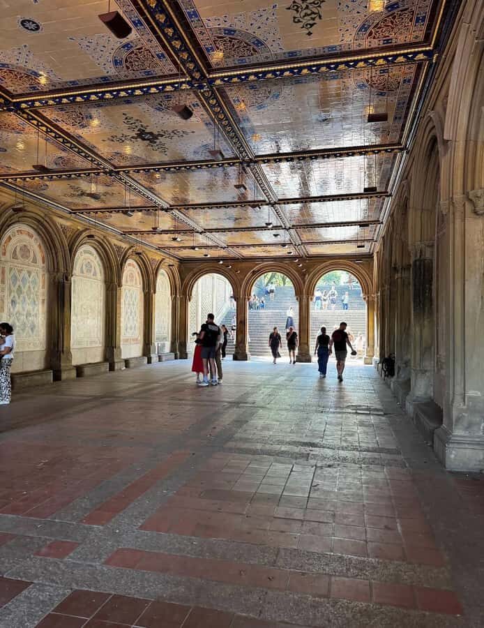 NYC: Central Park Highlights Pedicab Tour - The Experience Quality and Guide