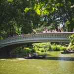 NYC: Central Park Movie Sites Guided Bike Tour - Analyzing the Value and Practicality
