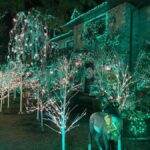 NYC: Dyker Heights Christmas Lights Tour with Guide - An In-Depth Look at the Dyker Heights Christmas Lights Tour