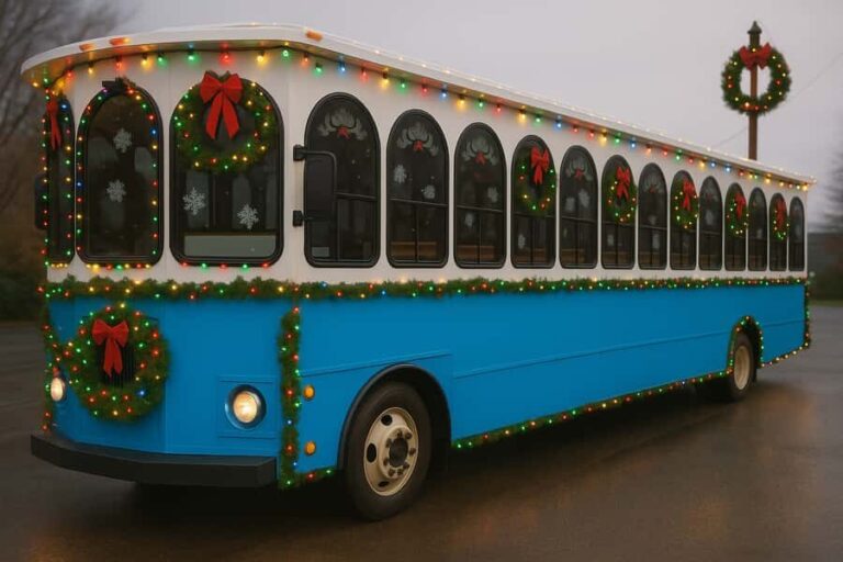 NYC: Dyker Heights Christmas Lights Trolley Tour - The Sum Up