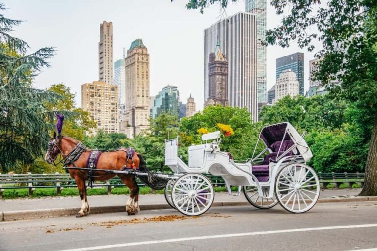 NYC: Guided Central Park Horse Carriage Ride - What to Expect During the Ride
