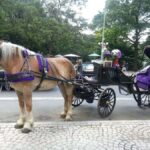 NYC: Long Central Park Horse Carriage Ride with Photo Stop - Why This Ride Is a Great Choice